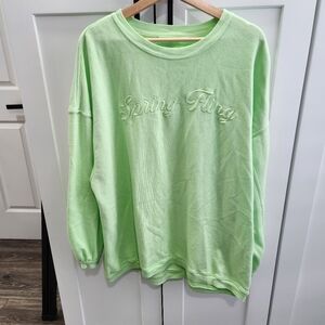 Aerie Spring Fling Light Green Real Crew Sweatshirt Size Large